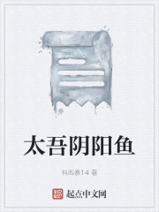 太吾阴阳鱼