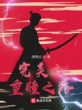 完美世界之重瞳无双
