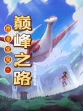 神奇宝贝:巅峰之路小说