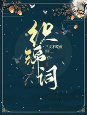 织锦词TXT下载