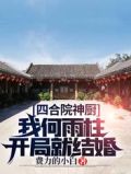 四合院神厨我何雨柱开局就结婚TXT