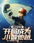 神奇宝贝:完美开局小说免费阅读
