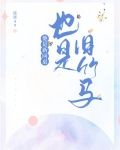 他的新同桌小说