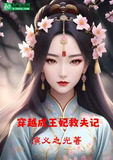 穿越成王妃救夫记的小说